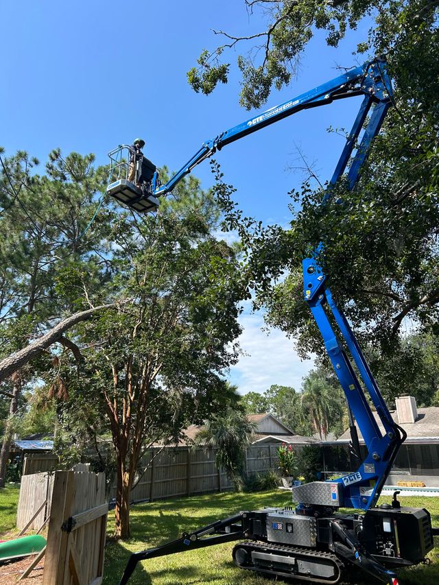 Aerial lift tree care operations