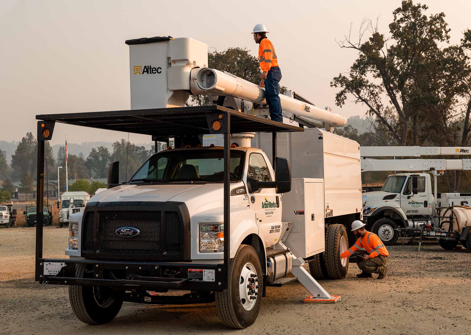 Professional tree work