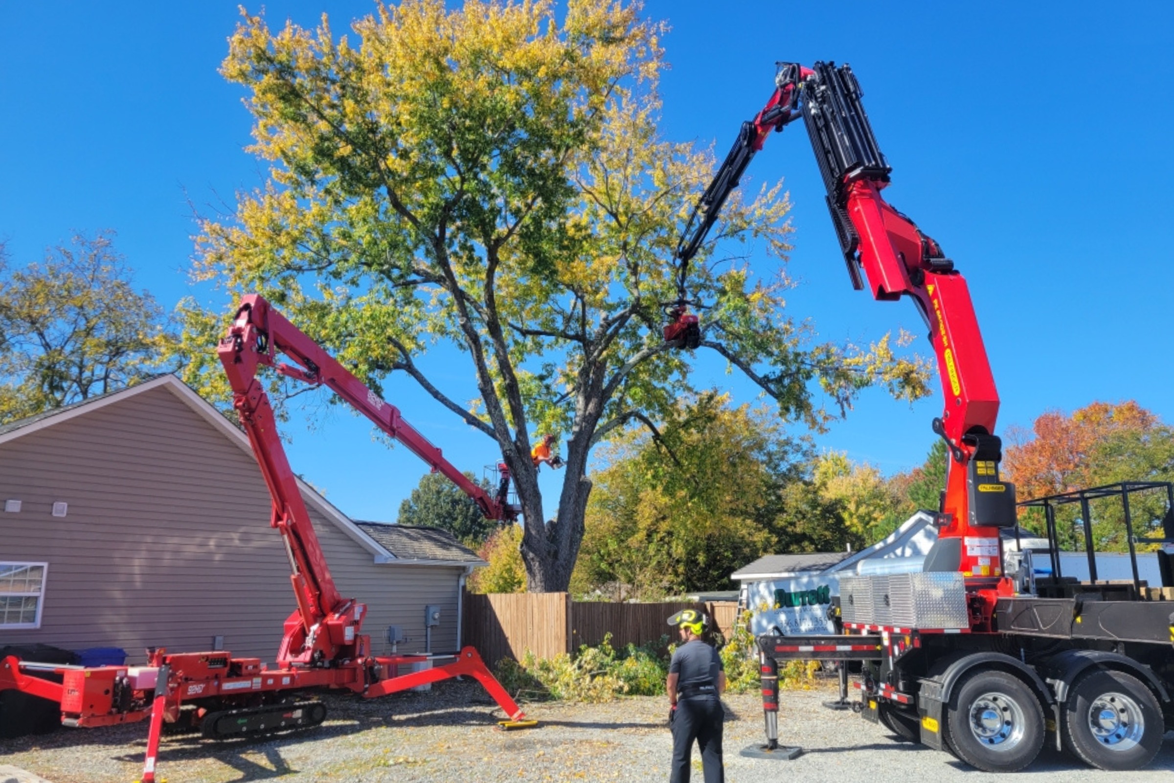 Professional tree removal with remote-controlled crane